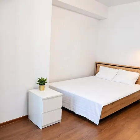Spacious Studio, Unirii Square & Old Town& Parliament Appartement *